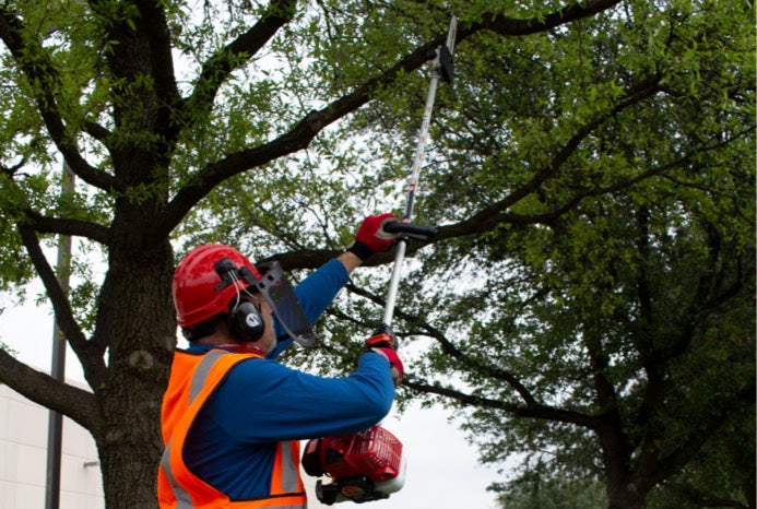 MARUYAMA PS300 PROFESSIONAL FIXED LENGTH POLE PRUNER SAW