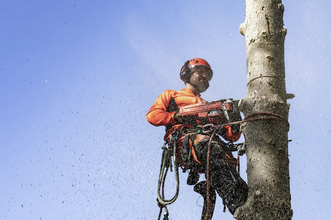 HUSQVARNA 545 MARK II CHAINSAW