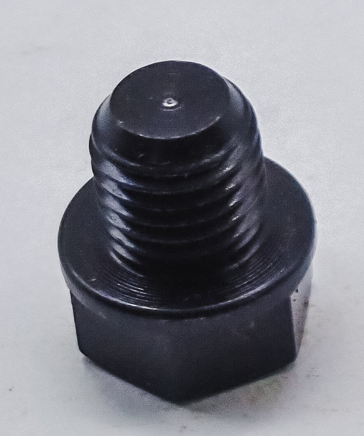 GENUINE ECHO DECOMPRESSION VALVE PLUG WITH EXTRA WASHER 91155